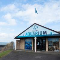 St Andrews Aquarium
